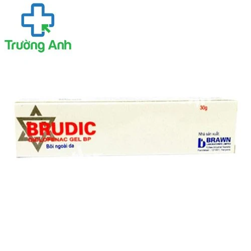Brudic 30g - Thuốc điều trị viêm đau xương khớp hiệu quả