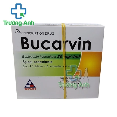 Bucarvin - Thuốc gây tê giảm đau hiệu quả