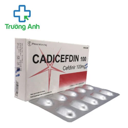 Cadicefdin 100 USP - Thuốc điều trị nhiễm khuẩn hiệu quả