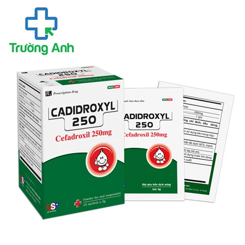 CADIDROXYL 250 USP - Thuốc điều trị nhiễm khuẩn thể nhẹ và trung bình
