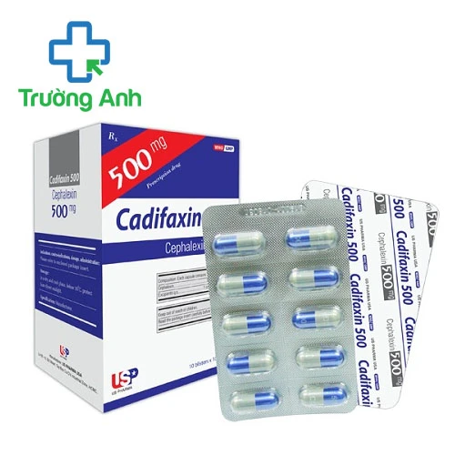 Cadifaxin 500 USP (vỉ) - Thuốc điều trị nhiễm khuẩn hiệu quả