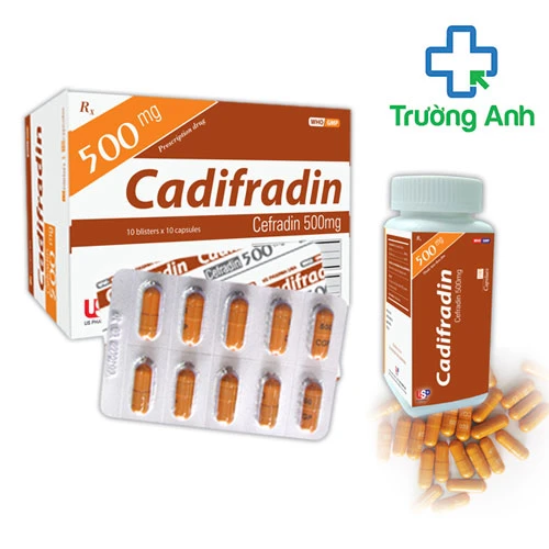 Cadifradin 500 - Thuốc điều trị nhiễm khuẩn, nhiễm trùng hiệu quả