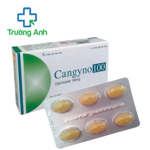 Cangyno 100 - Thuốc điều trị viêm nhiễm âm đạo hiệu quả của Phil Inter Pharma