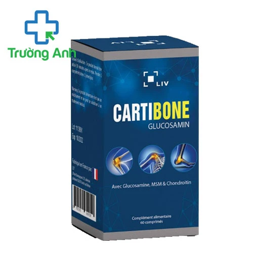 Cartibone (Glucosamin) - Viên uống bảo vệ khớp hiệu quả