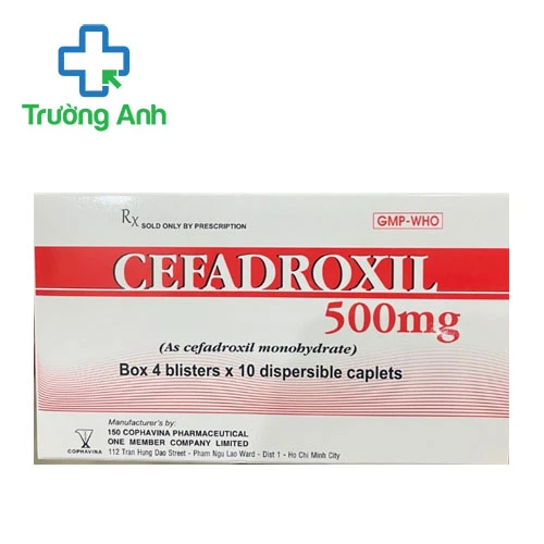 Cefadroxil 500mg Cophavina (40 viên) - Thuốc điều trị nhiễm khuẩn hiệu quả