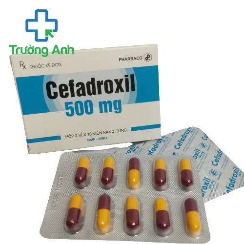 Cefadroxil 500mg Pharbaco - Thuốc điều trị nhiễm khuẩn hiệu quả