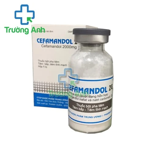 Cefamandol 2g Pharbaco - Thuốc điều trị nhiễm khuẩn