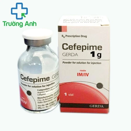 Cefepime 2g Gerda - Thuốc kháng khuẩn hiệu quả