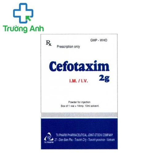 Cefotaxim 2g TV.Pharm - Thuốc điều trị nhiễm khuẩn hiệu quả
