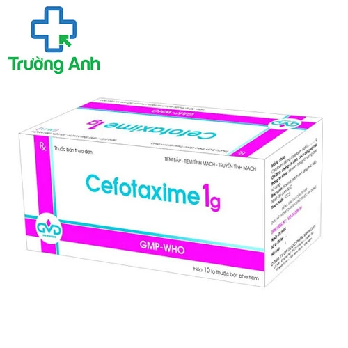 Cefotaxime 1g MD Pharco - Thuốc điều trị nhiễm khuẩn nặng hiệu quả