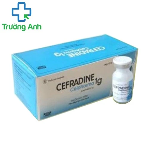 Cefradine 1g Hataphar - Thuốc điều trị nhiễm khuẩn hiệu quả
