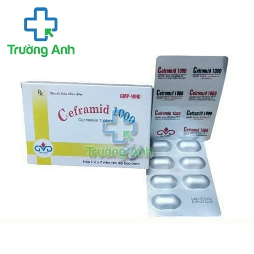 Ceframid 1000 - Thuốc điều trị nhiễm khuẩn hiệu quả của MD Pharco
