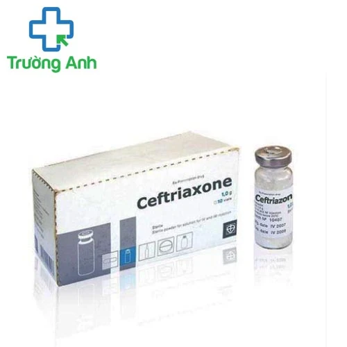 Ceftriaxon 1g RUSSIA - Thuốc điều trị nhiễm trùng hiệu quả