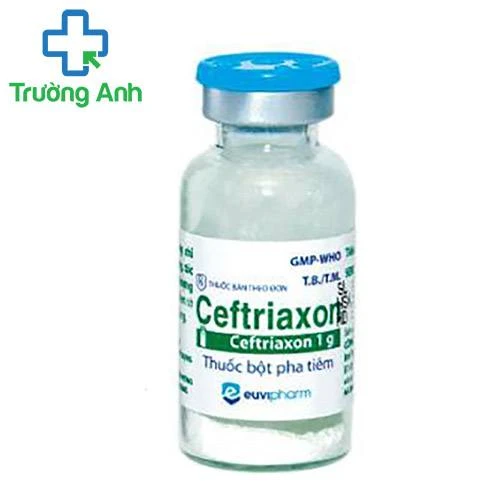 Ceftriaxon1g-Euvipharm - Thuốc bột pha tiêm điều trị tiêu chảy hiệu quả