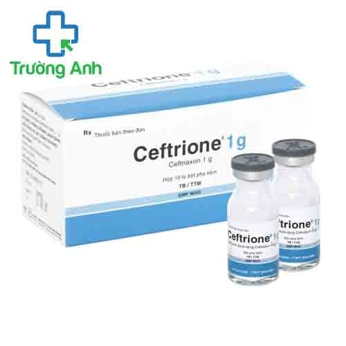 Ceftrione 1g Bidiphar - Thuốc điều trị nhiễm khuẩn hiệu quả