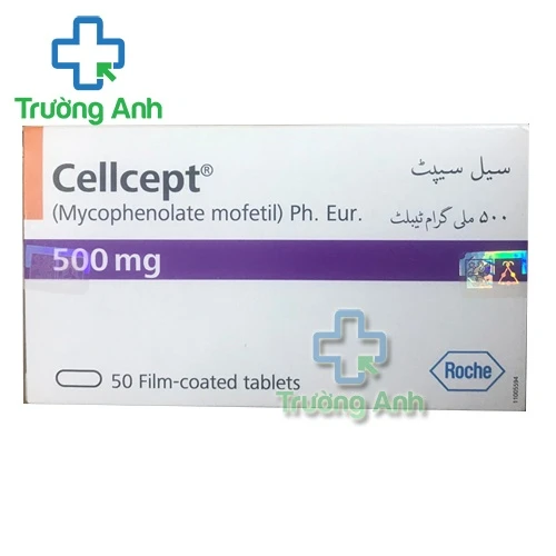 Cellcept 500mg - Thuốc phòng ngừa đào thải khi ghép cơ quan hiệu quả