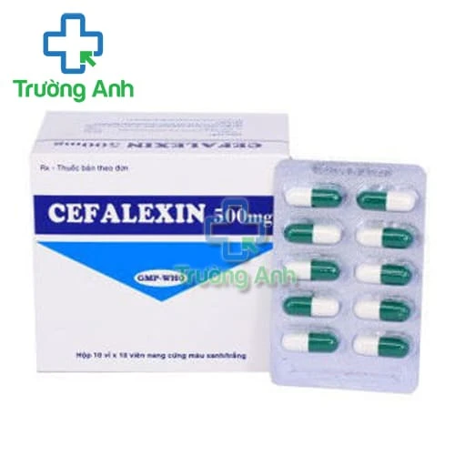 Cephalexin 500mg Tipharco - Thuốc kháng sinh trị bệnh hiệu quả