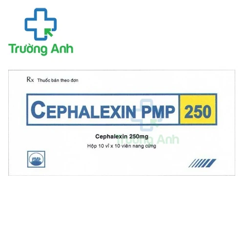 Cephalexin PMP 250 - Thuốc điều trị nhiễm khuẩn của Pymeharco