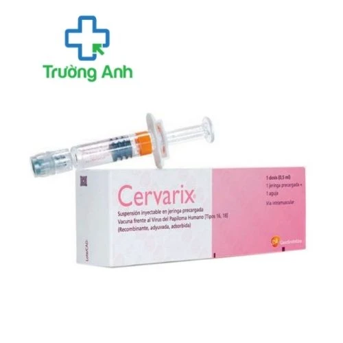Vắc xin Cervarix - Vắc xin phòng ung thư cổ tử cung HPV của Bỉ  