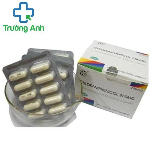 Chloramphenicol 250mg Vidipha - Thuốc kháng sinh trị bệnh hiệu quả