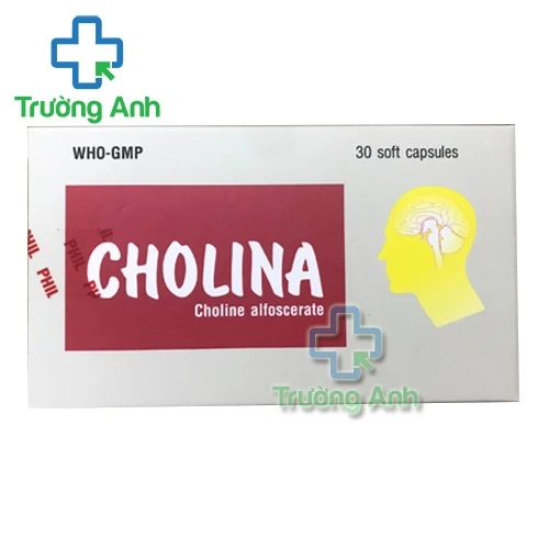 Cholina - Thuốc phục hồi sau đột quỵ hiệu quả