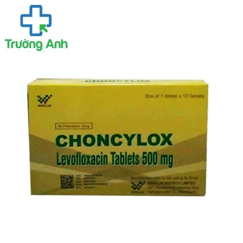 Choncylox 500mg - Thuốc điều trị nhiễm khuẩn hiệu quả