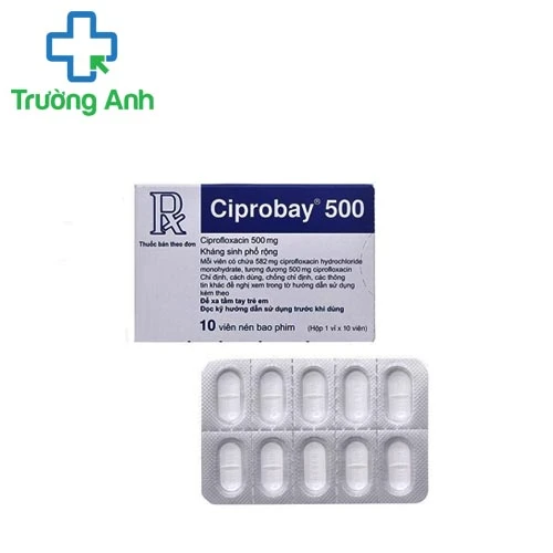 Ciprobay 500mg - Thuốc kháng sinh trị bệnh hiệu quả của Đức