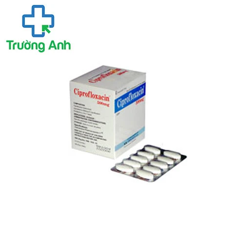 Ciprofloxacin 500mg MD Pharco - Thuốc điều trị nhiễm khuẩn nặng hiệu quả