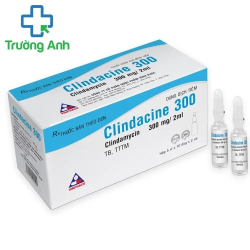 Clindacine 300 Vinphaco - Thuốc điều trị nhiễm khuẩn hiệu quả
