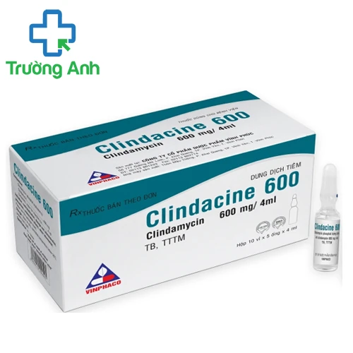 Clindacine 600 - Thuốc điều trị nhiễm khuẩn hiệu quả của Vinphaco