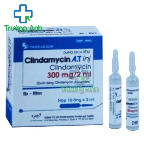 Clindamycin A.T Inj - Thuốc điều trị nhiễm khuẩn hiệu quả