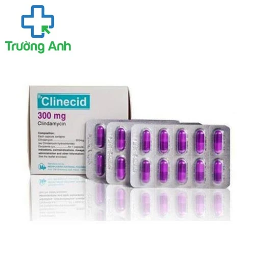 Clinecid 300mg - Thuốc kháng sinh trị bệnh hiệu quả của Mediplantex