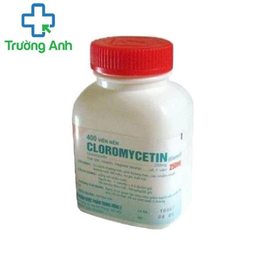 Cloromycetin 250mg - Thuốc kháng sinh điều trị nhiễm khuẩn hiệu quả