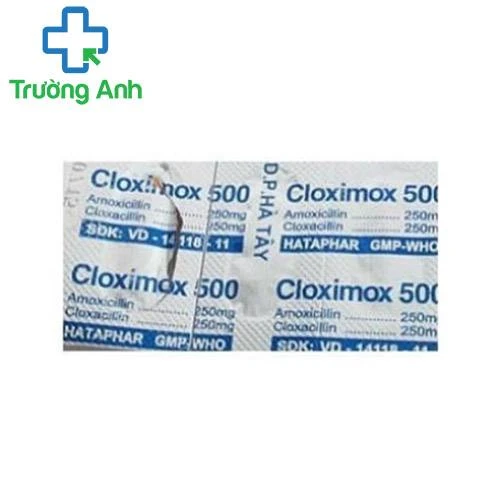 Cloximox 500mg - Thuốc kháng sinh điều trị nhiễm trùng hiệu quả