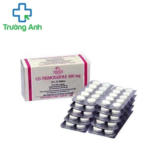Co-Trimoxazol 480mg Hadiphar - Thuốc kháng sinh điều trị nhiễm khuẩn hiệu quả