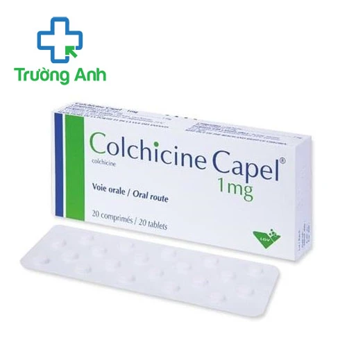 Colchicine Capel 1mg Zentiva - Thuốc điều trị bệnh gout hiệu quả