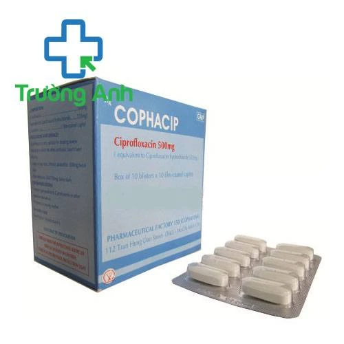 Cophacip - Thuốc điều trị nhiễm khuẩn hiệu quả của Armephaco
