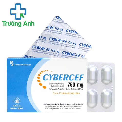 Cybercef 750mg - Thuốc điều trị nhiễm khuẩn hiệu quả của Domesco
