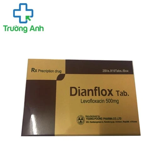 Dianflox 500mg - Thuốc kháng sinh điều trị nhiễm khuẩn hiệu quả