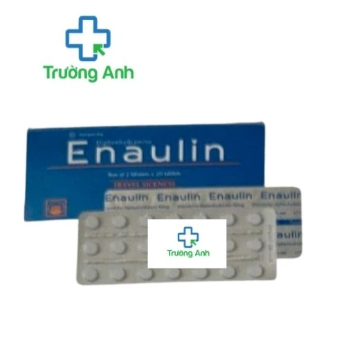 Enaulin 90mg - Thuốc phòng và điều trị say tàu xe của Pymepharco