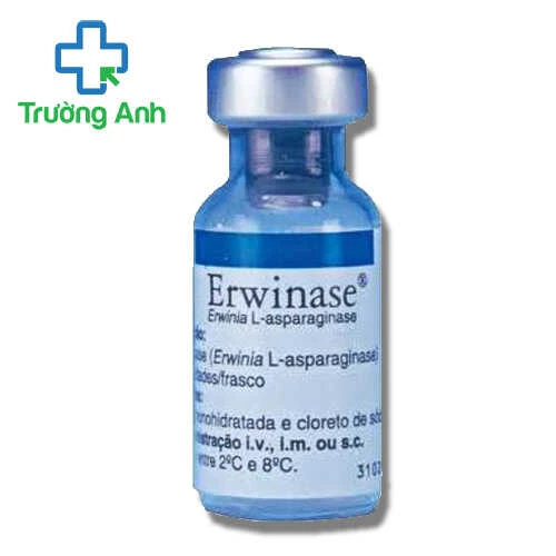Erwinase - Thuốc điều trị bệnh bạch cầu hiệu quả của Anh