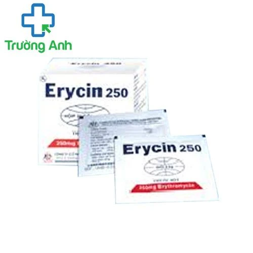 Erycin 250mg- Thuốc điều trị nhiễm khuẩn hiệu quả của Mekophar