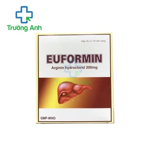 Euformin 120 Armephaco - Thuốc điều trị hỗ trợ các rối loạn khó tiêu