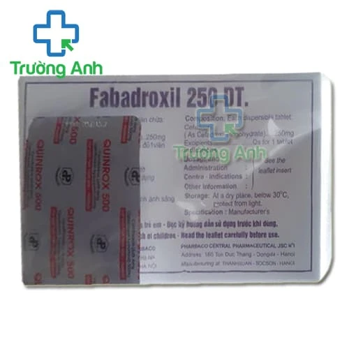 Fabadroxil 250 DT - Thuốc điều trị nhiễm khuẩn hiệu quả