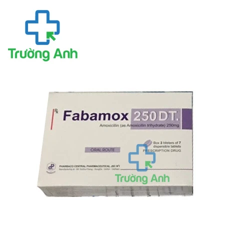 Fabamox 250 DT - Thuốc điều trị nhiễm khuẩn hiệu quả của Pharbaco