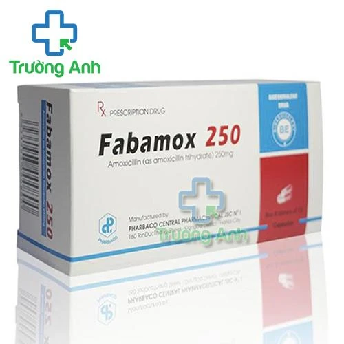 Fabamox 250mg viên - Thuốc điều trị nhiễm khuẩn hiệu quả của Pharbaco