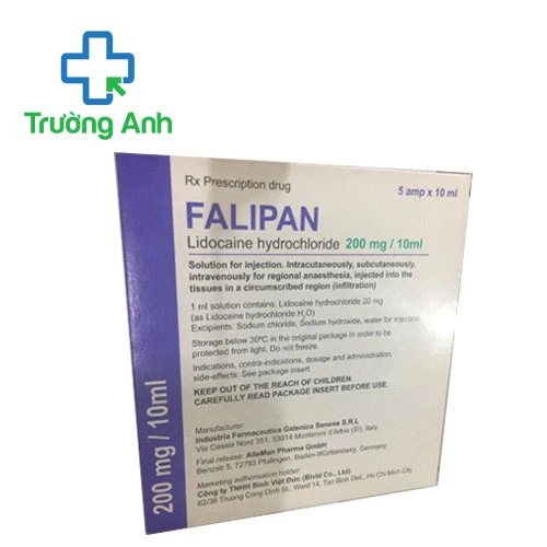 Falipan - Thuốc gây tê tại chỗ, gây tê vùng hiệu quả của Italy