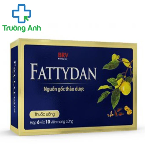 Fattydan - Thuốc điều trị cholesterol máu cao hiệu quả của BV Pharma