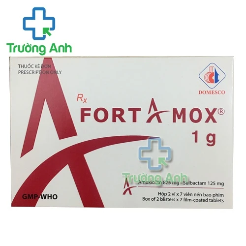 Fortamox 1g - Thuốc điều trị nhiễm khuẩn của Domesco