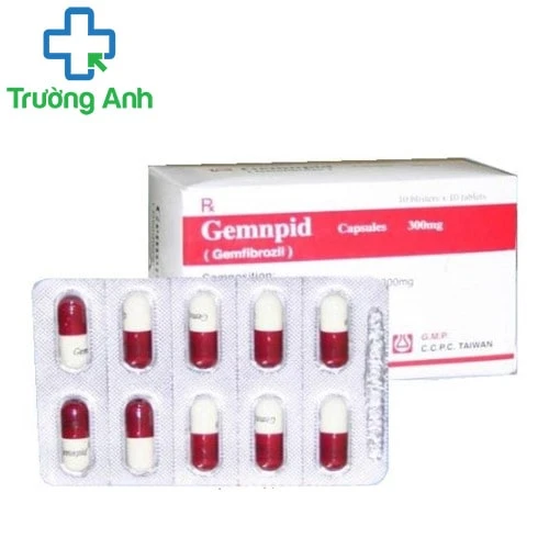 Gemnpid 300 - Thuốc điều trị bệnh tăng cao Lipoprotein máu.